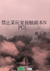 禁止某玩家接触副本NPC免费阅读