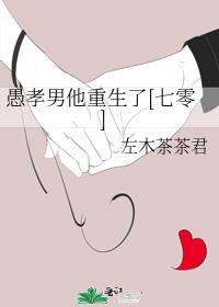 愚孝男他重生了[七零