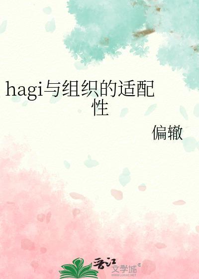 hagi与组织的适配性176