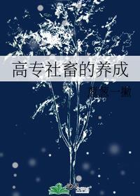 高专社畜的养成免费