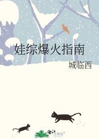 娃综爆火指南txt资源
