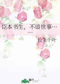 臣本书生