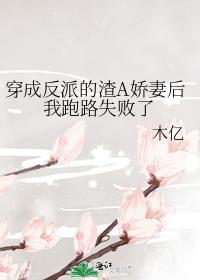 穿成反派渣a后TXT资源