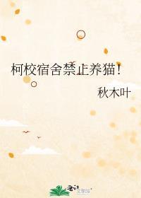 学生宿舍能养猫吗
