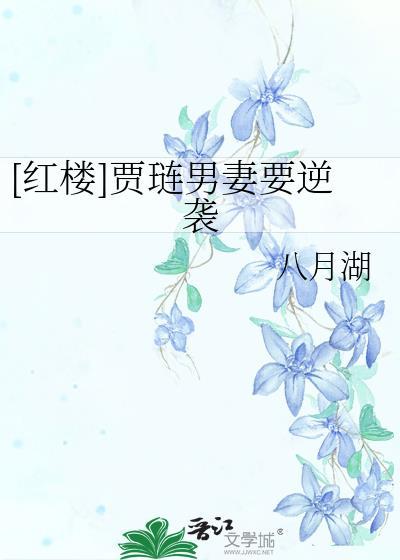 红楼贾琏男妻要逆袭八月湖