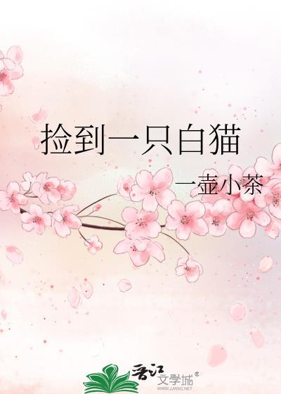 捡到小白猫预示什么