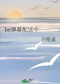弹幕设备