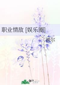 职业情节