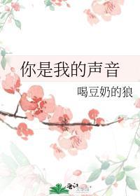 你是我的声音哟
