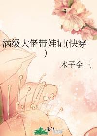 满级大佬带娃记(快穿)作者木子金三