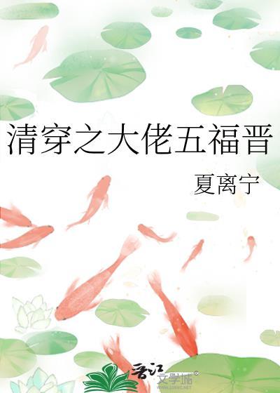 清穿之大福晋同人文