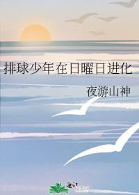 排球少年排球日