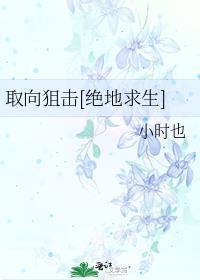 取向狙击abotxt