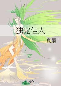 冷面宋少独宠佳人