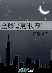 全球追妻全文免费阅读