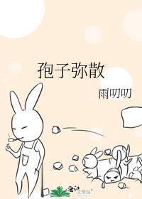 孢子t0