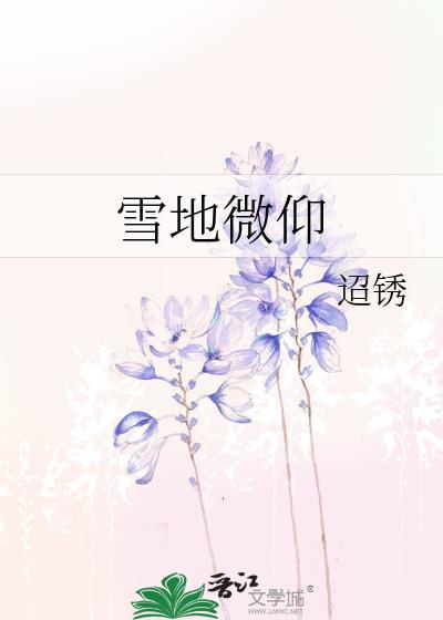雪地什么意思