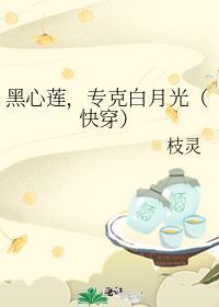 黑心莲免费阅读