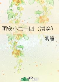 团宠小二十四清穿