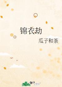 锦衣劫