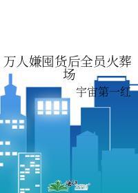 垫脚石