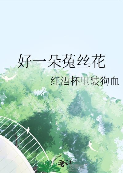 把装乖竹马养成暴躁老婆
