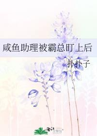 这个杀手不太冷[综英美]