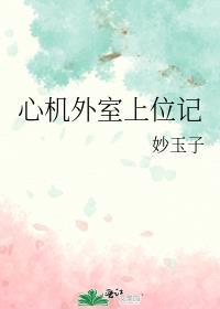 心机外室上位记