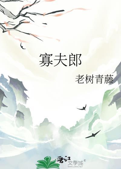 寡夫郎