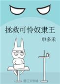 拯救可怜奴隶王