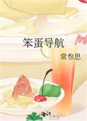 笨蛋导航