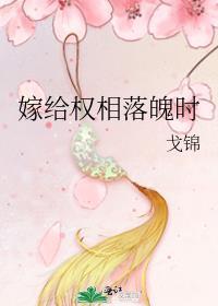 嫁给首辅落魄时