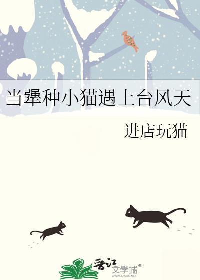 当犟种小猫遇上台风天
