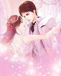 清穿之后宫升职记