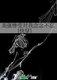 [综英美]妄想攻略