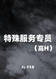特殊服务专员 (高H)