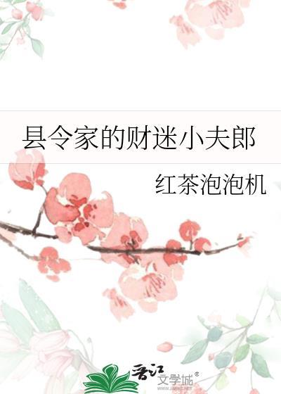 县令家的财迷小夫郎
